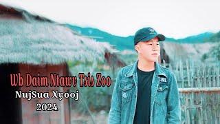 Nuj Sua Xiong - Wb Daim Ntawv Tsis Zoo Official Music Video