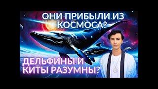 Удивительная цивилизацияПервый контактЧеннелингОтветы на вопросы @FidriaYur