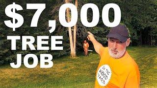 $7000 TREE REMOVAL JOB