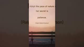 Adopt the pace of nature