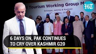 Pak fumes at nations that attended Kashmir G20 in India Lodges strong protest  Details