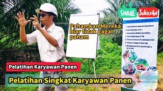 Pelatihan Singkat Karyawan Panen Buat Pemanen Pemula