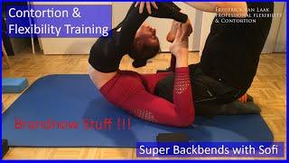 Contortion Training by Flexyart 222 Backbends with Sofi - Also for Yoga Poledance Ballet Dance