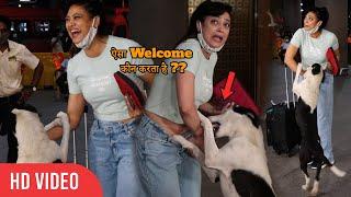 Dog Cutest Moment with Shweta Tiwari   Back from Khatron Khiladi 11 Shoot
