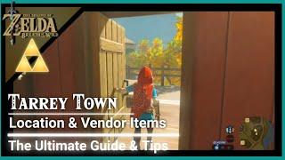 Tarrey Town - Fixed MerchantVendor Locations - The Legend of Zelda Breath of the Wild