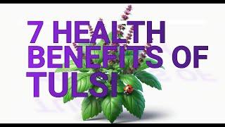 7 Health Benefits of Tulasi or Holy Basil