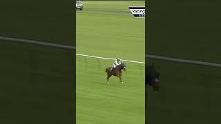 Horse somehow gets beat