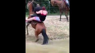 Shot on iphone 6 meme From horse riding to swimming