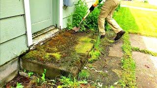 Nature Attempts To Takeover Property  Lets Restore This Mess