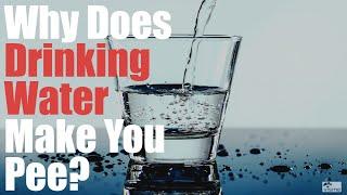 Why Does Drinking Water Make You Pee Know The Facts