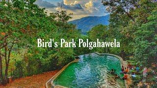 Our Dayout  Birds Park Polgahawela 
