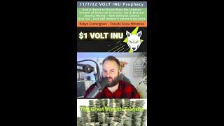 $1 VOLT INU Crypto Wealth Transfer prophecy - Robyn Cunningham 11722