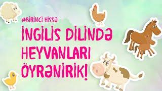 İNGİLİS DİLİNDƏ HEYVANLARI ÖYRƏNƏK Azərbaycan dilində qarşılığı ilə #5