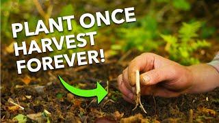 7 Easy Perennial Vegetables To Grow Harvest Year After Year... ‍ ‍