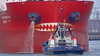 13 BIG SHIPS AT THE PORT OF ROTTERDAM NETHERLANDS - 4K SHIPSPOTTING JUNE 2024