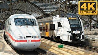 Züge Köln Hbf ● 18.07.2023