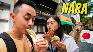 We Tried The VIRAL MOCHI In Japan  Is Nara Worth Visiting?