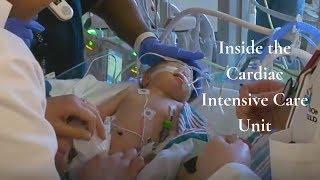 Cardiac Intensive Care  Critical Care for Children & Adults