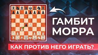 Гамбит Морра в Сицилианской защите. Как против него играть.