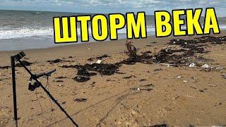 ШТОРМ ВЕКА выбросил много НАХОДОК на берег Пляжный коп в Крыму