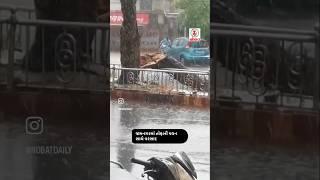 જામનગરમાં તોફાની પવન સાથે વરસાદ #nobat #news #shorts #rain #cyclone #biparjoycyclone #jamnagar