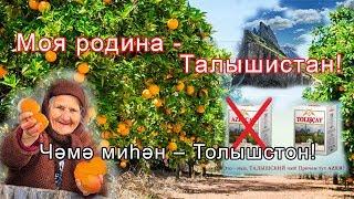 Родина моя - Талышистан Talyshistan Tv 18.11.2019 News