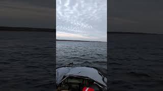 Ямаха 40 veos #rib #лодка #волга #природа #navigator #yamaha