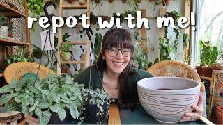 REPOT WITH ME  repotting new plants & working with propagations