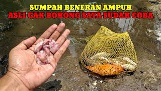 GAK NYOBA RUGI‼️TERNYATA SEMUA IKAN DOYAN DENGAN UMPAN INI