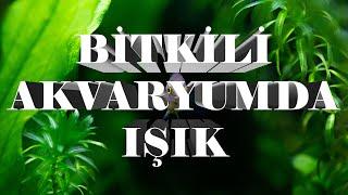 ADAN ZYE BİTKİLİ AKVARYUMDA IŞIK SEÇİMİ MYGOS AQUALED WOLFMAR VE DIY POWERLED İNELEME KIYASLAMA