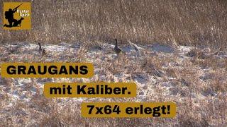 GÄNSEJAGDbeim Rehwild ANSITZJagd 2024HunterSpirit