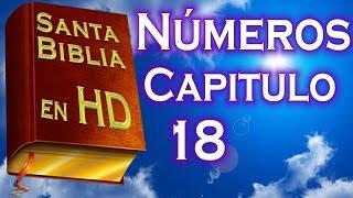 Números Capitulo 18 - Santa Biblia Reina-Valera Audio Remasterizado HD