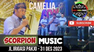 Camelia_voc.Madi  Scorpion Musik  Jl.Irigasi Pakjo  Acara Bp.Armadi  Minggu 31Des 2023