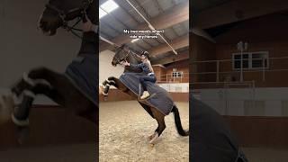 Still can’t figure out how to wear a helmet  #horse #equestrian #short #viral