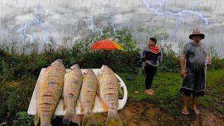 Pescaria com Peixe frito - Chuva de Vento Pescar nessa condição é quase Impossível