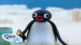 Best Episodes from Season 3  Pingu - Official Channel  Cartoons For Kids