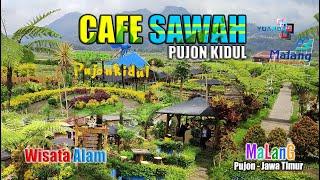 WISATA MURAH BATU MALANG  CAFE SAWAH PUJON KIDUL 2023