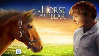 A Horse Called Bear 2015  Full Movie  Nicholas Ryan Gibbs  Wayne E. Brown  Austin Farnsworth