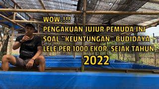 KEUNTUNGAN BUDIDAYA LELE 1000 EKOR FULL PELET  TERBARU