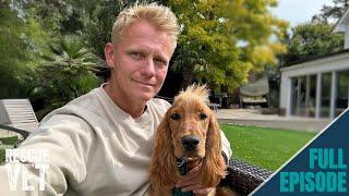 First month with my rescue dog Mango I ended up in hospital..  Rescue Vet with Dr Scott Miller