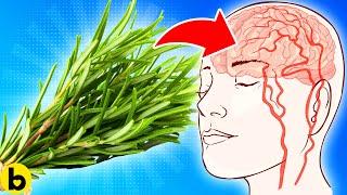 This Is What Happens When You Eat Rosemary Every Day