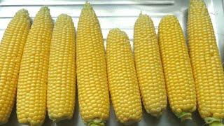 Huge Mistakes Everyone Makes With Corn On The Cob