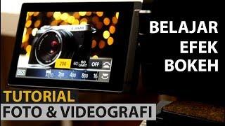 Tutorial Fotografi Dan Videografi Untuk Pemula  Membuat Efek Bokeh