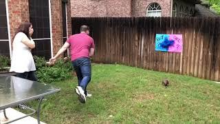 Gender reveal football throw