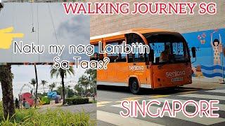 Viewing Around Sentosa Beach Resort Singapore ? #travel #trending #short #singapore #travelvlog