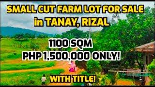 PROPERTY#49 SMALL CUT FARM LOT IN TANAY RIZAL WITH TITLE