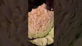 CABBAGE It’s what’s for dinner YumThe original Big MAC