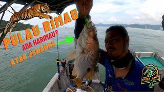 VLOG 300  LUBUK PULAU RIMAU ADA IKAN APA? 