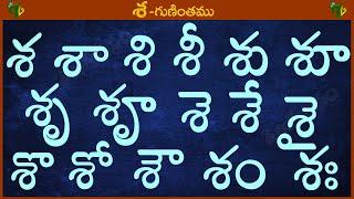 శ శా శి శీ శు శూ శృ శౄ #Guninthalu in telugu  శ గుణింతం  Learn Telugu SA gunintham @TeluguVanam ​