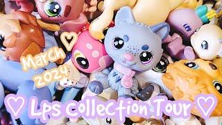 My Entire Lps Collection Tour March 2024  DieselkoiLps